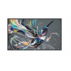 PHILIPS 65" Q-LINE 18/7 4K UHD BASIC FAILOVER USB AUTO PLAY PHILIPS 65" Q-LINE 18/7 4K UHD BASIC FAILOVER USB AUTO PLAY